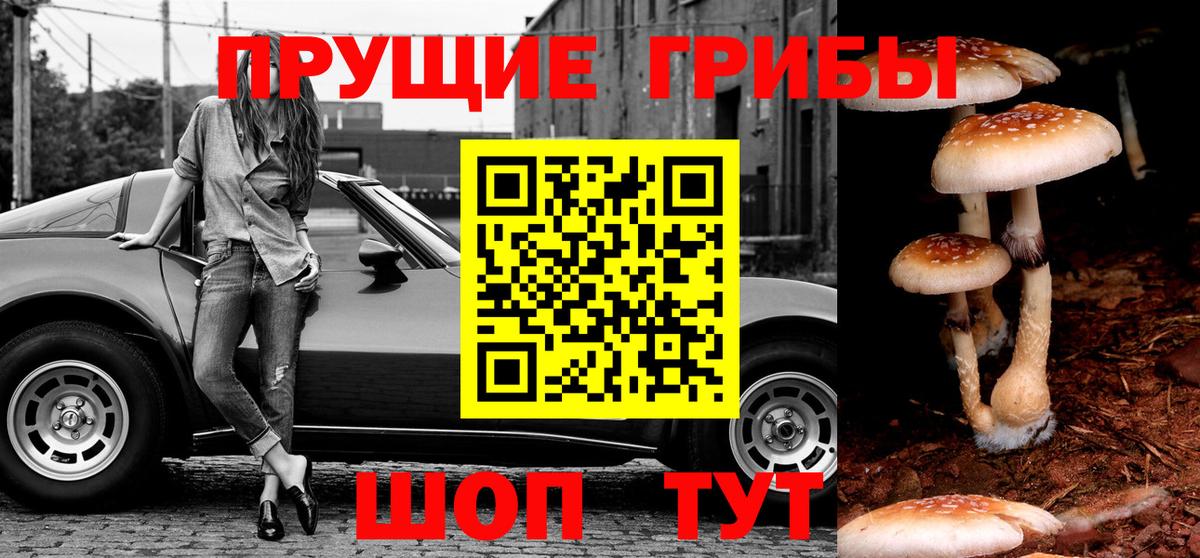 Луга  Галлюциногенные грибы ЛСД  Галлюциногенные грибы ЛСД  где купить наркоту  Вход с VPN 